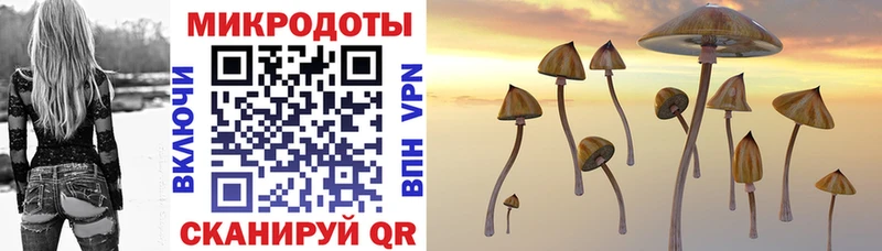 Псилоцибиновые грибы Psilocybine cubensis Якутск